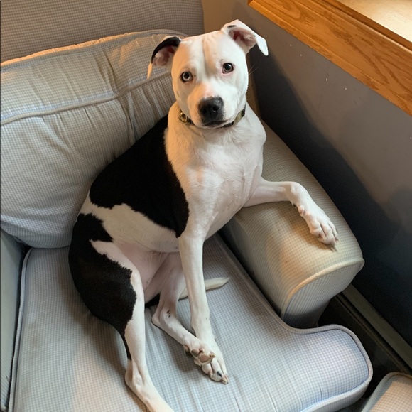 MY FAMILY - Picture 17 of 17